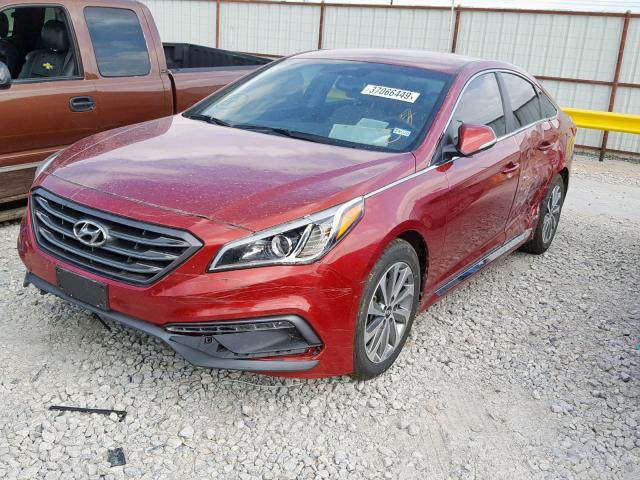 5NPE34AF7GH324115 - 2016 HYUNDAI SONATA SPO RED photo 2