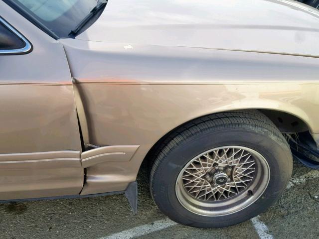 2FAFP74W5WX130613 - 1998 FORD CROWN VICT BEIGE photo 9