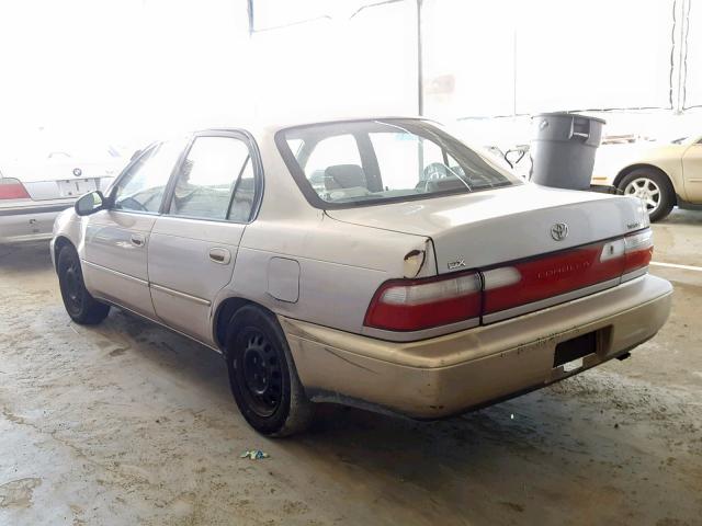 1NXBB02E8TZ448913 - 1996 TOYOTA COROLLA DX GOLD photo 3