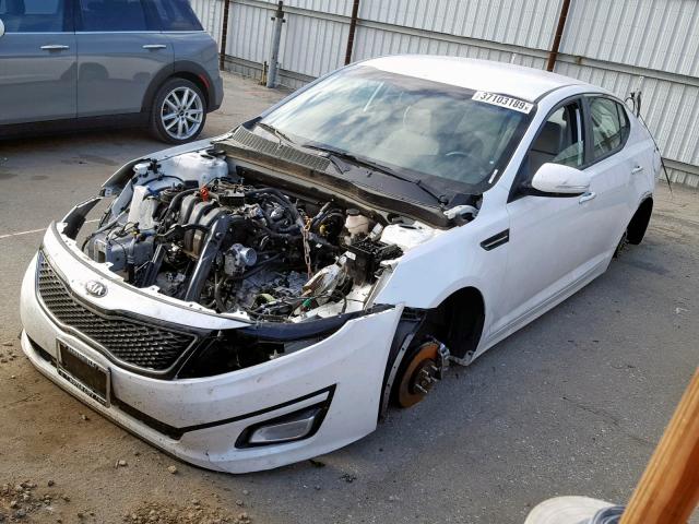 KNAGM4A7XF5597320 - 2015 KIA OPTIMA LX WHITE photo 2