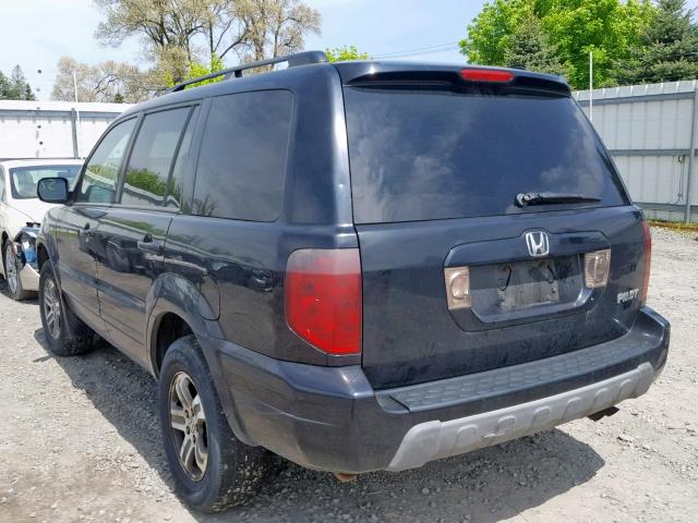 2HKYF18595H509599 - 2005 HONDA PILOT EXL BLACK photo 3