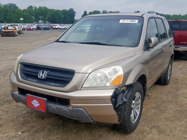 2HKYF18785H542577 - 2005 HONDA PILOT EXL GOLD photo 2