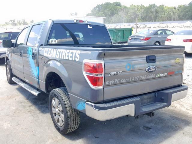 1FTEW1C86AFC09706 - 2010 FORD F150 SUPER GRAY photo 3