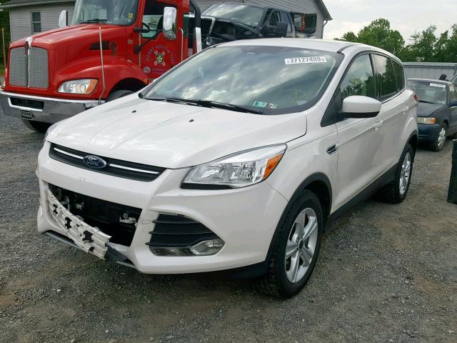 1FMCU9GX9DUB89704 - 2013 FORD ESCAPE SE WHITE photo 2