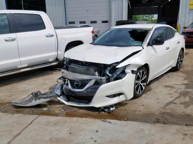 1N4AA6AP5JC376053 - 2018 NISSAN MAXIMA 3.5 WHITE photo 2