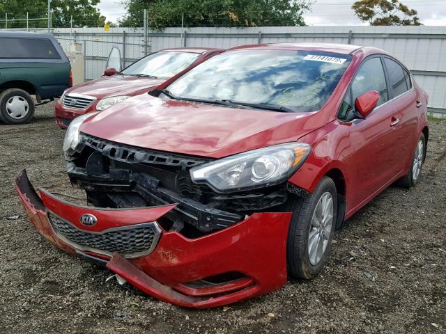 KNAFX4A89E5106245 - 2014 KIA FORTE EX RED photo 2