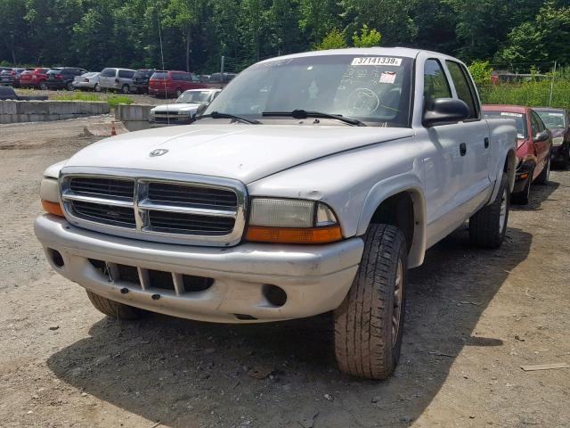 1D7HG48N84S632704 - 2004 DODGE DAKOTA QUA WHITE photo 2