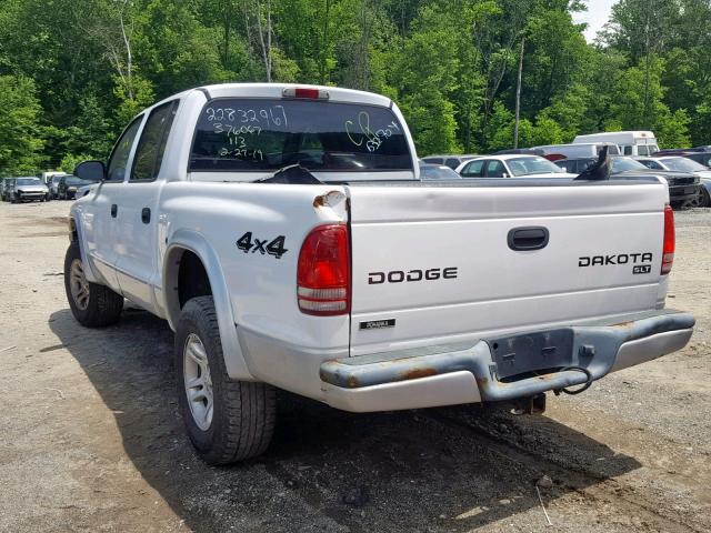 1D7HG48N84S632704 - 2004 DODGE DAKOTA QUA WHITE photo 3