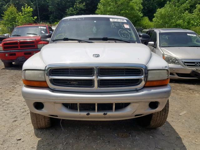 1D7HG48N84S632704 - 2004 DODGE DAKOTA QUA WHITE photo 9