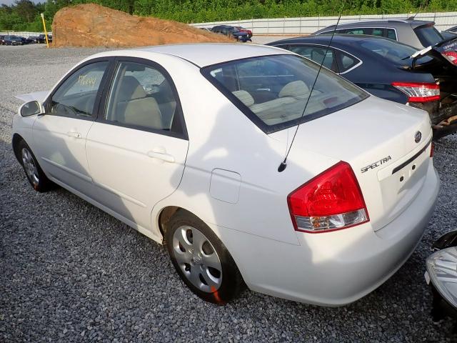 KNAFE121685501185 - 2008 KIA SPECTRA EX WHITE photo 3