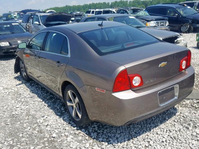 1G1ZC5E17BF106564 - 2011 CHEVROLET MALIBU 1LT BROWN photo 3