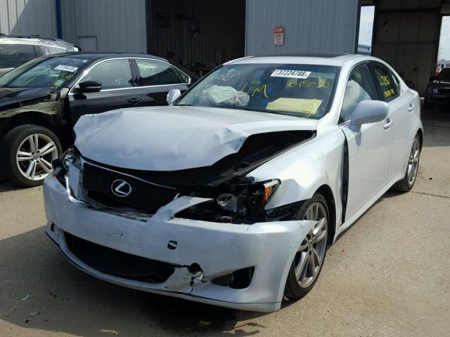 JTHBK262982060669 - 2008 LEXUS IS 250 BLUE photo 2