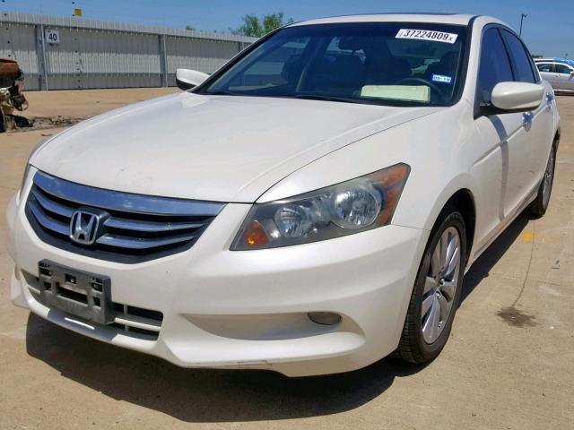 1HGCP3F88BA007056 - 2011 HONDA ACCORD EXL WHITE photo 2