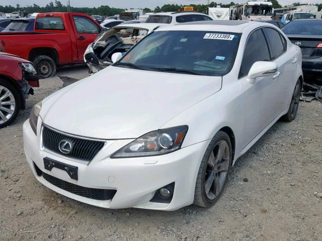 JTHBE5C2XB5027070 - 2011 LEXUS IS 350 WHITE photo 2