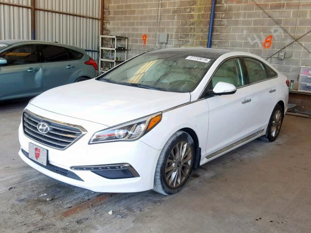 5NPE34AF0FH223741 - 2015 HYUNDAI SONATA SPO WHITE photo 2