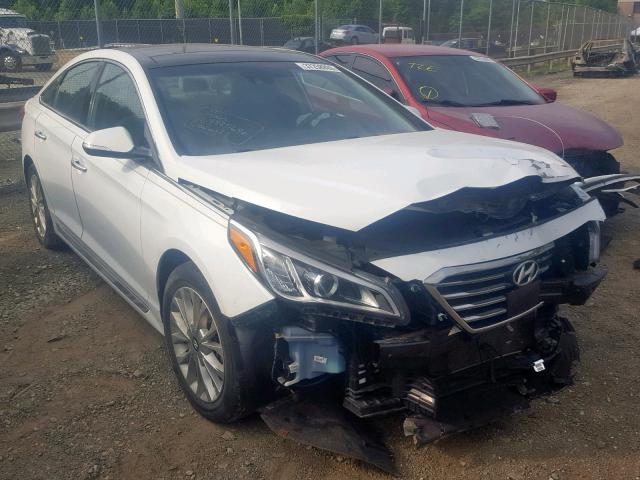 5NPE34AF7FH029160 - 2015 HYUNDAI SONATA SPO WHITE photo 1