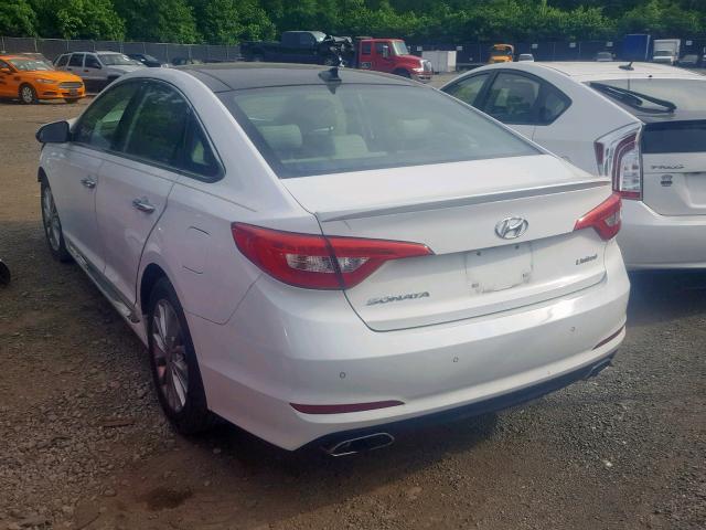 5NPE34AF7FH029160 - 2015 HYUNDAI SONATA SPO WHITE photo 3