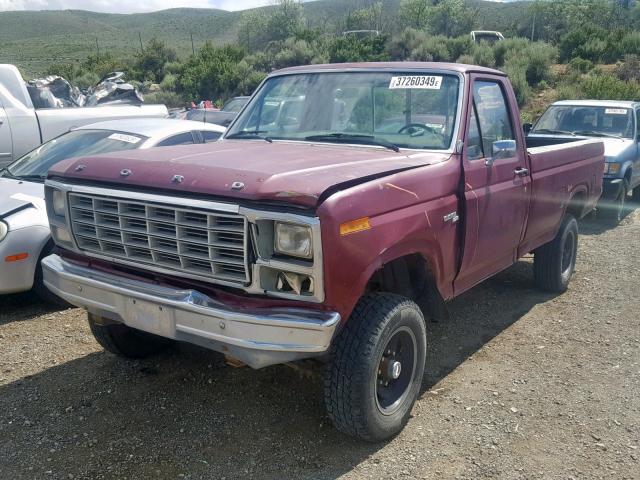 F26FRJJ0220 - 1980 FORD F-250 RED photo 2