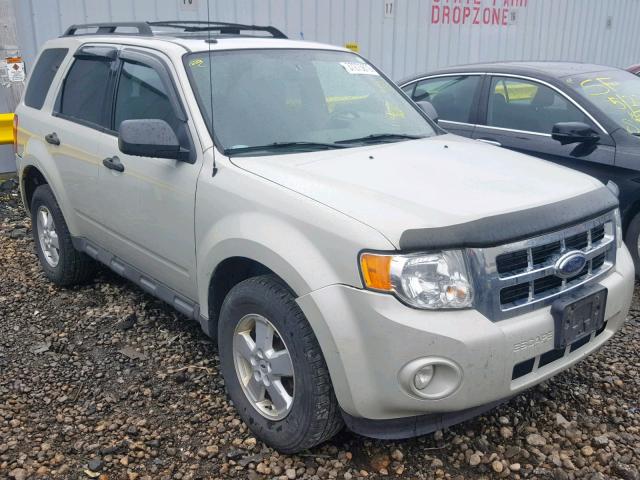 1FMCU03G79KB09563 - 2009 FORD ESCAPE XLT CREAM photo 1