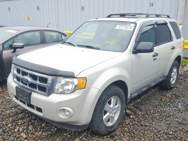 1FMCU03G79KB09563 - 2009 FORD ESCAPE XLT CREAM photo 2