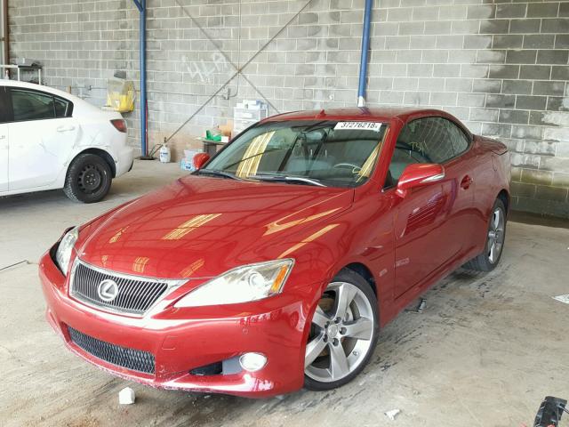 JTHFF2C25A2510818 - 2010 LEXUS IS 250 RED photo 2