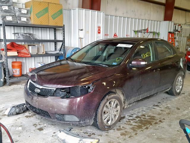 KNAFU4A21B5376019 - 2011 KIA FORTE EX BLACK photo 2