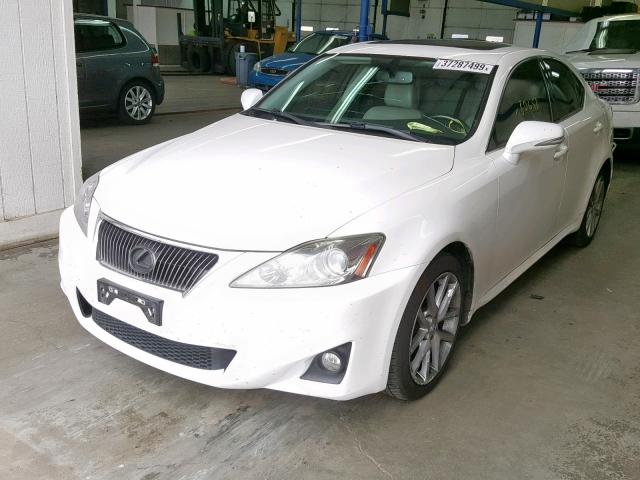 JTHBF5C23B5154496 - 2011 LEXUS IS 250 WHITE photo 2