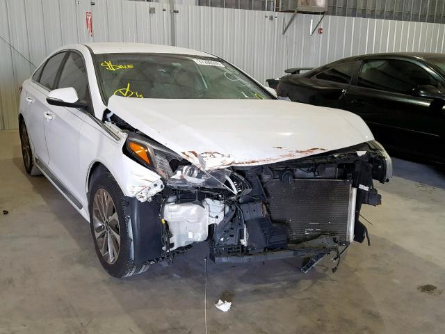 5NPE34AF1FH027596 - 2015 HYUNDAI SONATA SPO WHITE photo 1