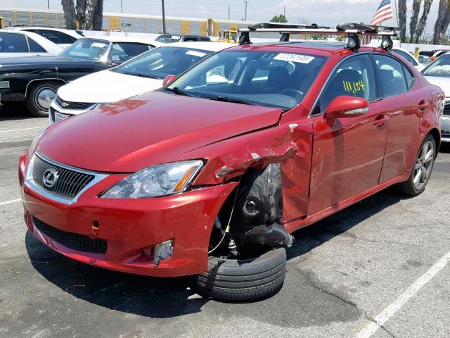 JTHBK262092091262 - 2009 LEXUS IS 250 RED photo 2