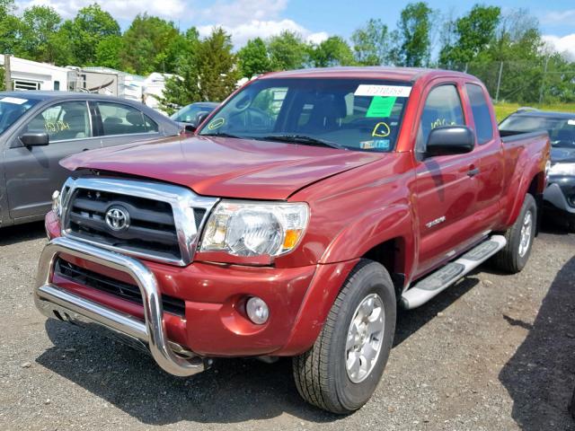 5TETU62N75Z030746 - 2005 TOYOTA TACOMA PRE RED photo 2