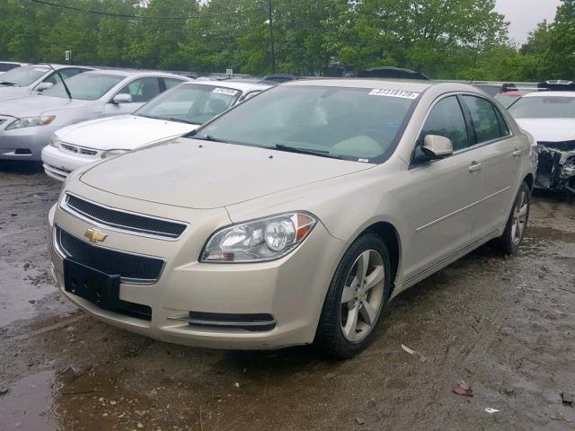 1G1ZC5E1XBF168444 - 2011 CHEVROLET MALIBU 1LT GOLD photo 2