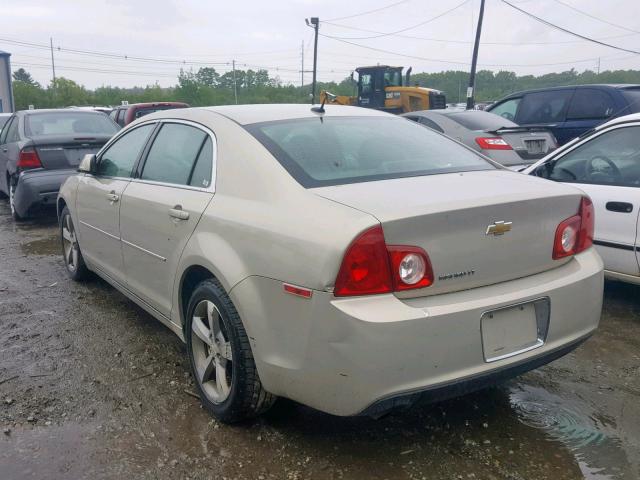 1G1ZC5E1XBF168444 - 2011 CHEVROLET MALIBU 1LT GOLD photo 3