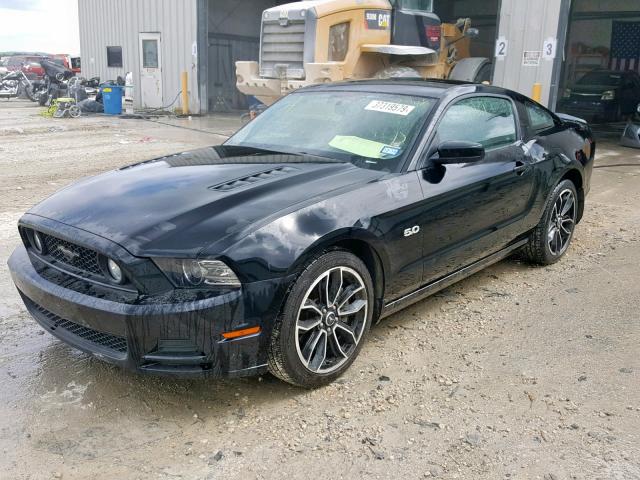 1ZVBP8CF8E5231366 - 2014 FORD MUSTANG GT BLACK photo 2