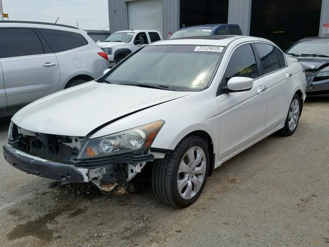 1HGCP36848A040645 - 2008 HONDA ACCORD EXL WHITE photo 2