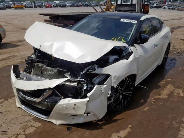 1N4AA6AP3HC434512 - 2017 NISSAN MAXIMA 3.5 WHITE photo 2