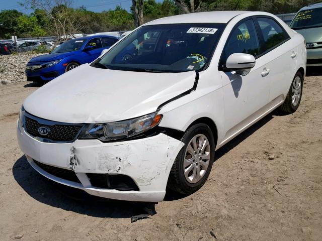 KNAFU4A27C5521775 - 2012 KIA FORTE EX WHITE photo 2