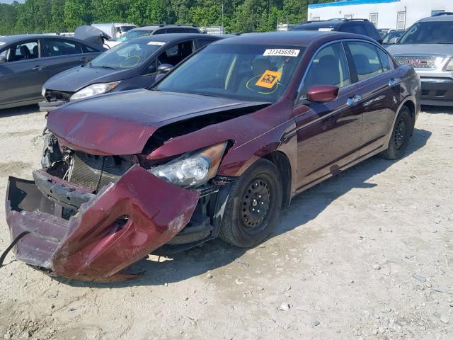 1HGCP3F8XCA013863 - 2012 HONDA ACCORD EXL MAROON photo 2