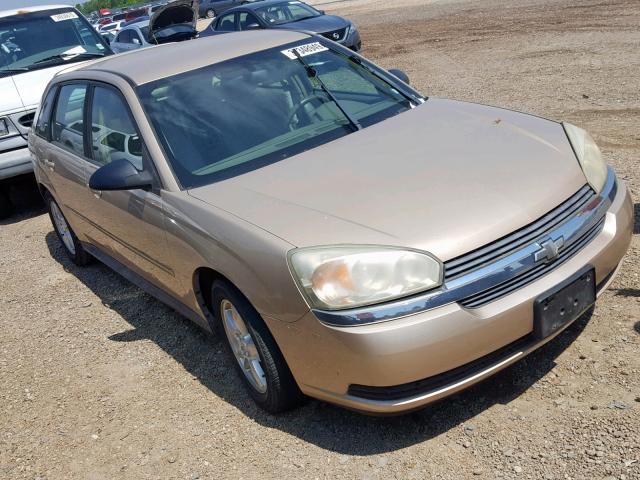 1G1ZT62805F197298 - 2005 CHEVROLET MALIBU MAX 金色 照片 1