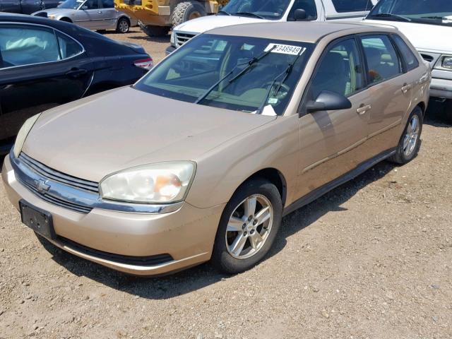 1G1ZT62805F197298 - 2005 CHEVROLET MALIBU MAX 金色 照片 2