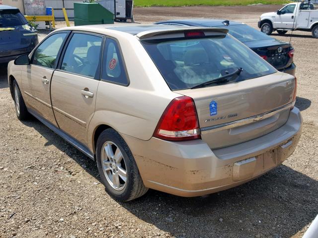 1G1ZT62805F197298 - 2005 CHEVROLET MALIBU MAX 金色 照片 3