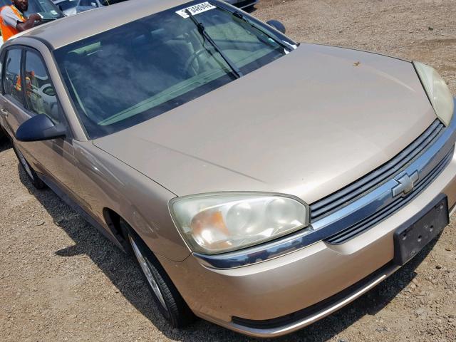 1G1ZT62805F197298 - 2005 CHEVROLET MALIBU MAX 金色 照片 9
