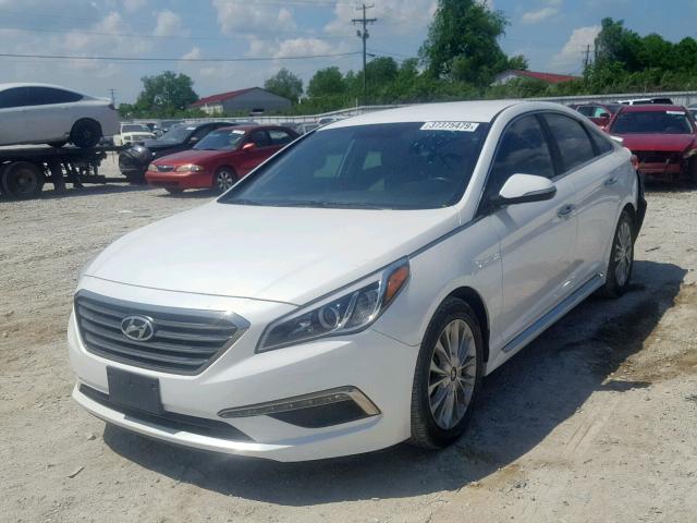 5NPE34AF8FH029877 - 2015 HYUNDAI SONATA SPO WHITE photo 2