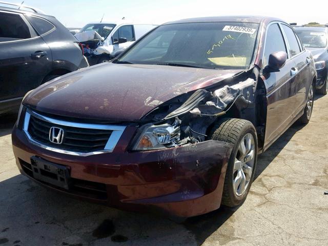 JHMCP26808C047751 - 2008 HONDA ACCORD EXL BURGUNDY photo 2