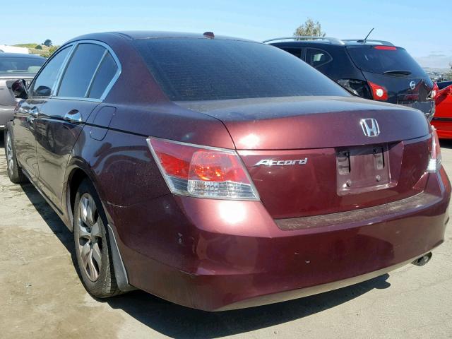 JHMCP26808C047751 - 2008 HONDA ACCORD EXL BURGUNDY photo 3