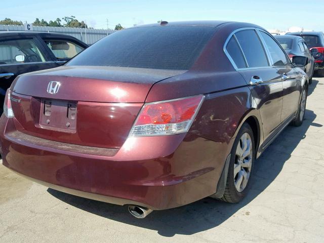 JHMCP26808C047751 - 2008 HONDA ACCORD EXL BURGUNDY photo 4