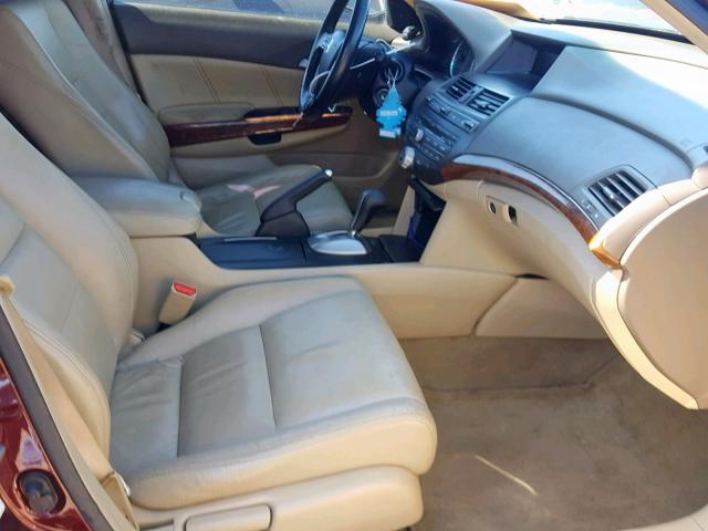 JHMCP26808C047751 - 2008 HONDA ACCORD EXL BURGUNDY photo 5