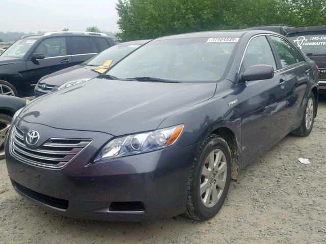 4T1BB46K78U043964 - 2008 TOYOTA CAMRY HYBR GRAY photo 2