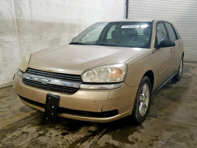 1G1ZT64865F217664 - 2005 CHEVROLET MALIBU MAX TAN photo 2
