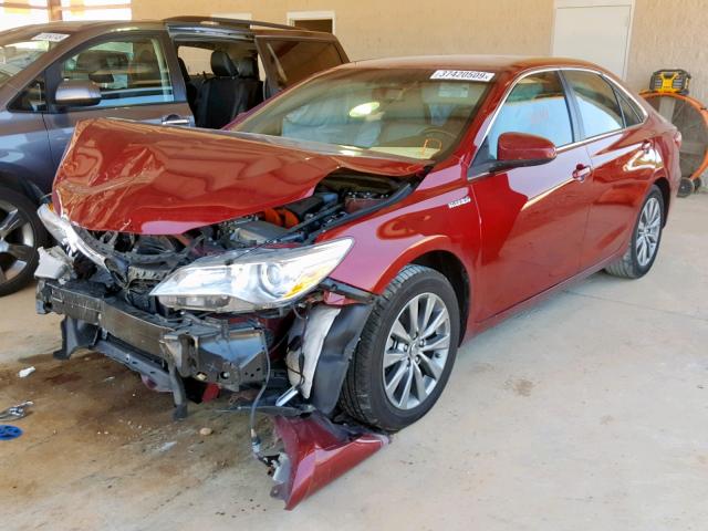 4T1BD1FK7GU195279 - 2016 TOYOTA CAMRY HYBR MAROON photo 2