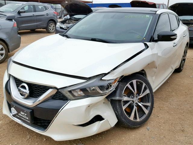 1N4AA6AP5GC377485 - 2016 NISSAN MAXIMA 3.5 WHITE photo 2